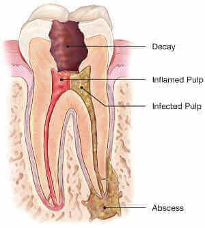 Dentall Care Center